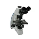 Trinocular Biological Microscope
